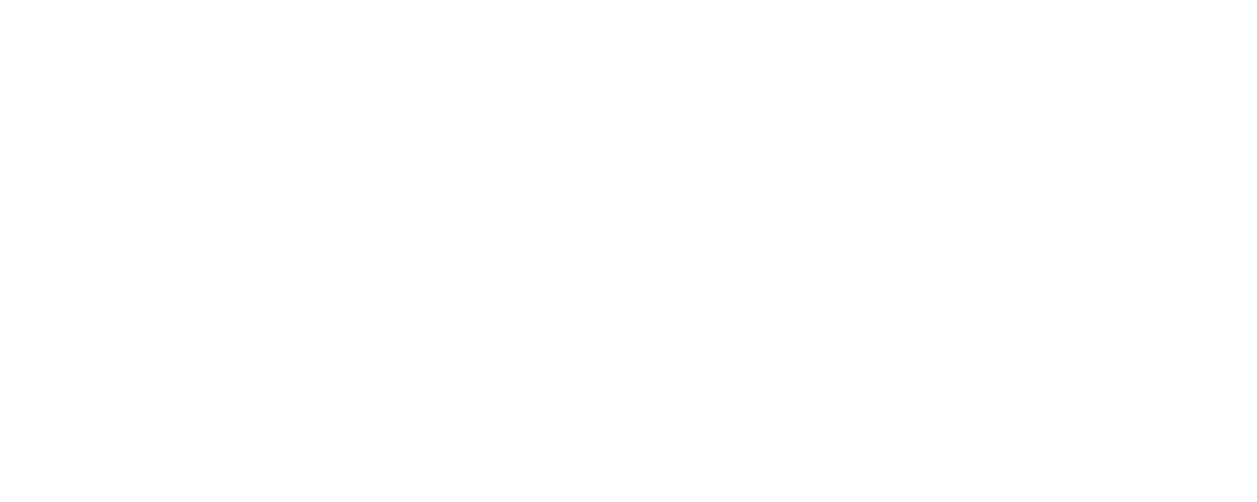 Белая русская версия логотипа