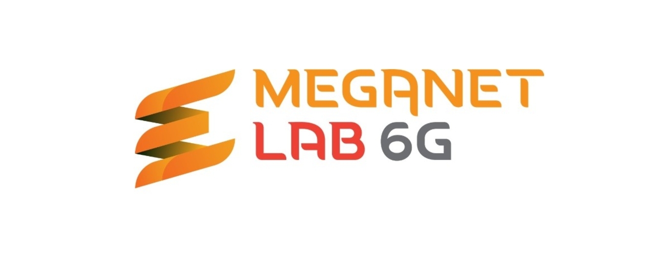 https://www.sut.ru/meganetlab